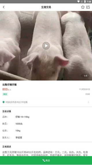 猪邦忙