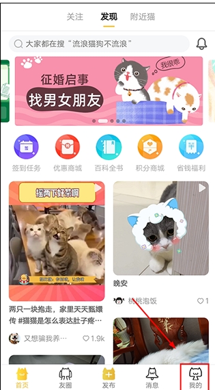 友猫