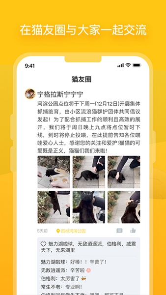 哈啰街猫截图1