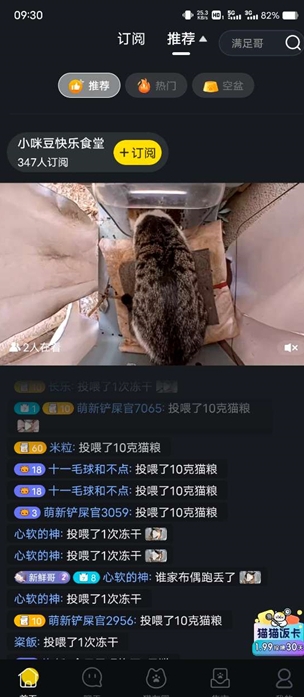 哈啰街猫