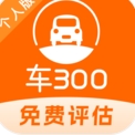 车300二手车