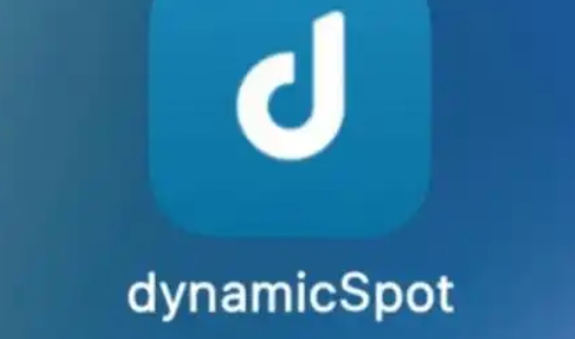 dynamicspot