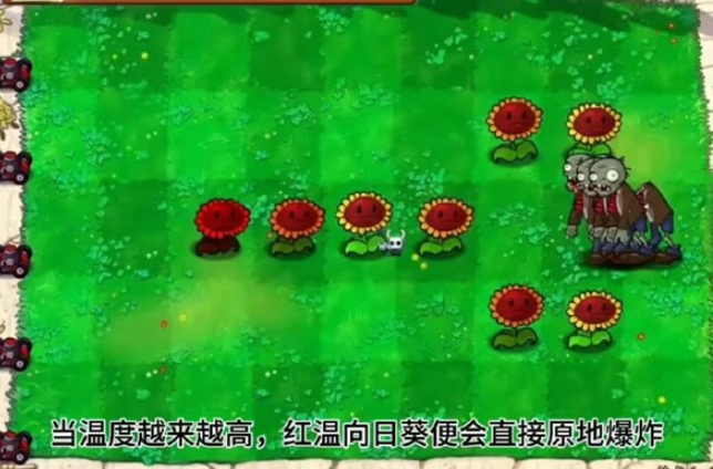 pvz内鬼版截图2