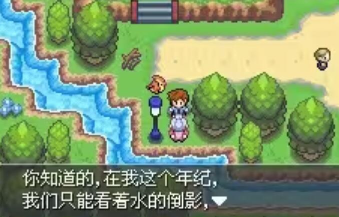 口袋妖怪紫光截图4