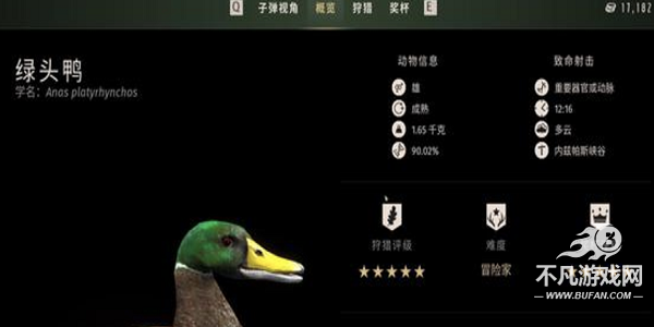 猎人之路
