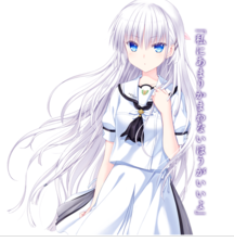 夏日口袋