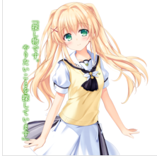 夏日口袋