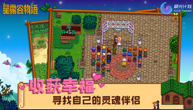星露谷物语多人联机截图5