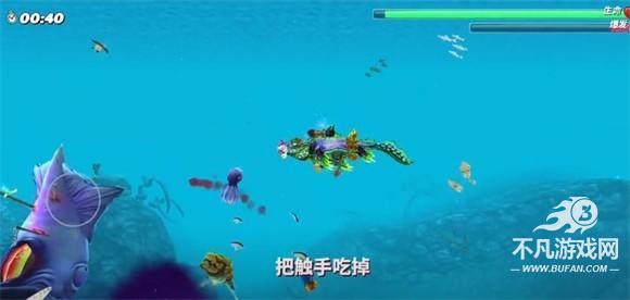 hungrysharkworld国际版