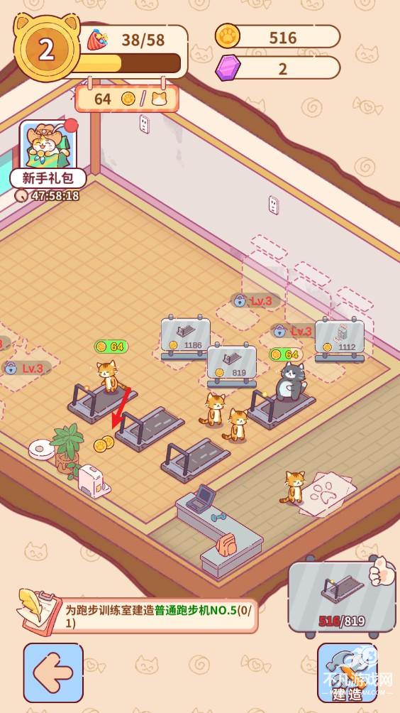 猫咪健身房