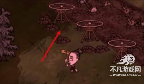 饥困荒野官方版