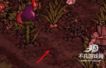 饥困荒野官方版