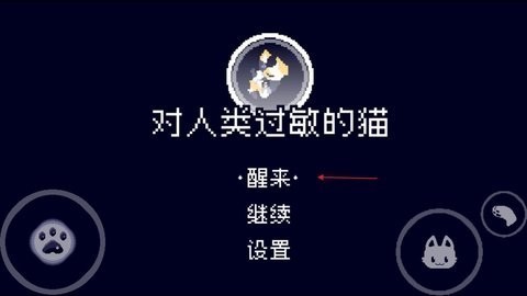 对人类过敏的猫游戏