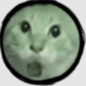 圆头猫大作战